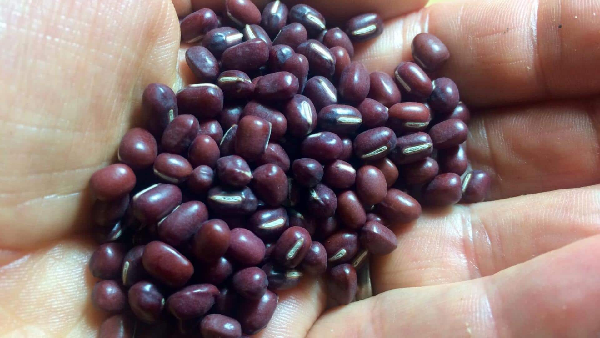 Adzuki beans v/s mung beans: Which is better for you?