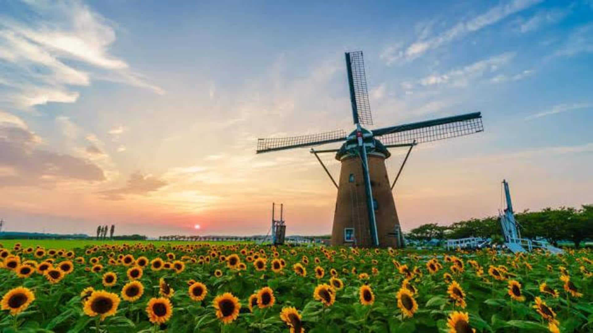 Portugal's most photogenic windmills: A list 
