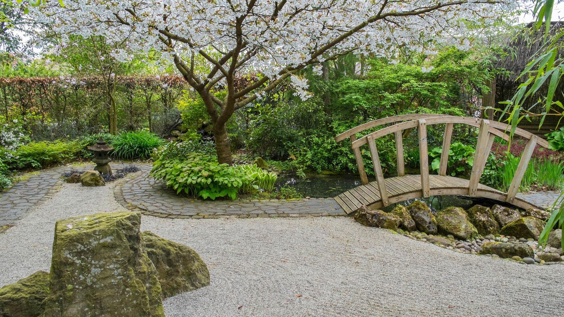 Nurturing calm with DIY zen garden creation