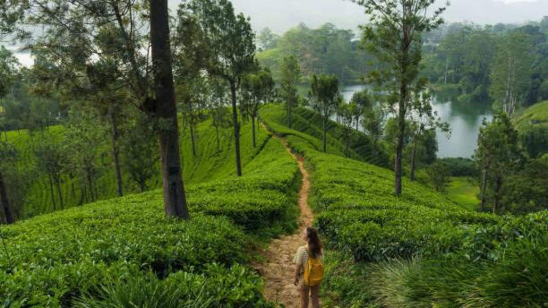 How to plan a sustainable vacation like a pro