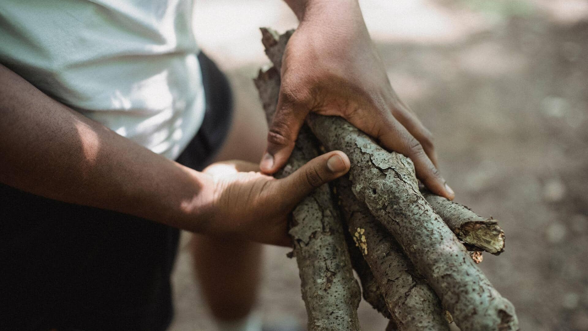 The surprising benefits of collecting firewood