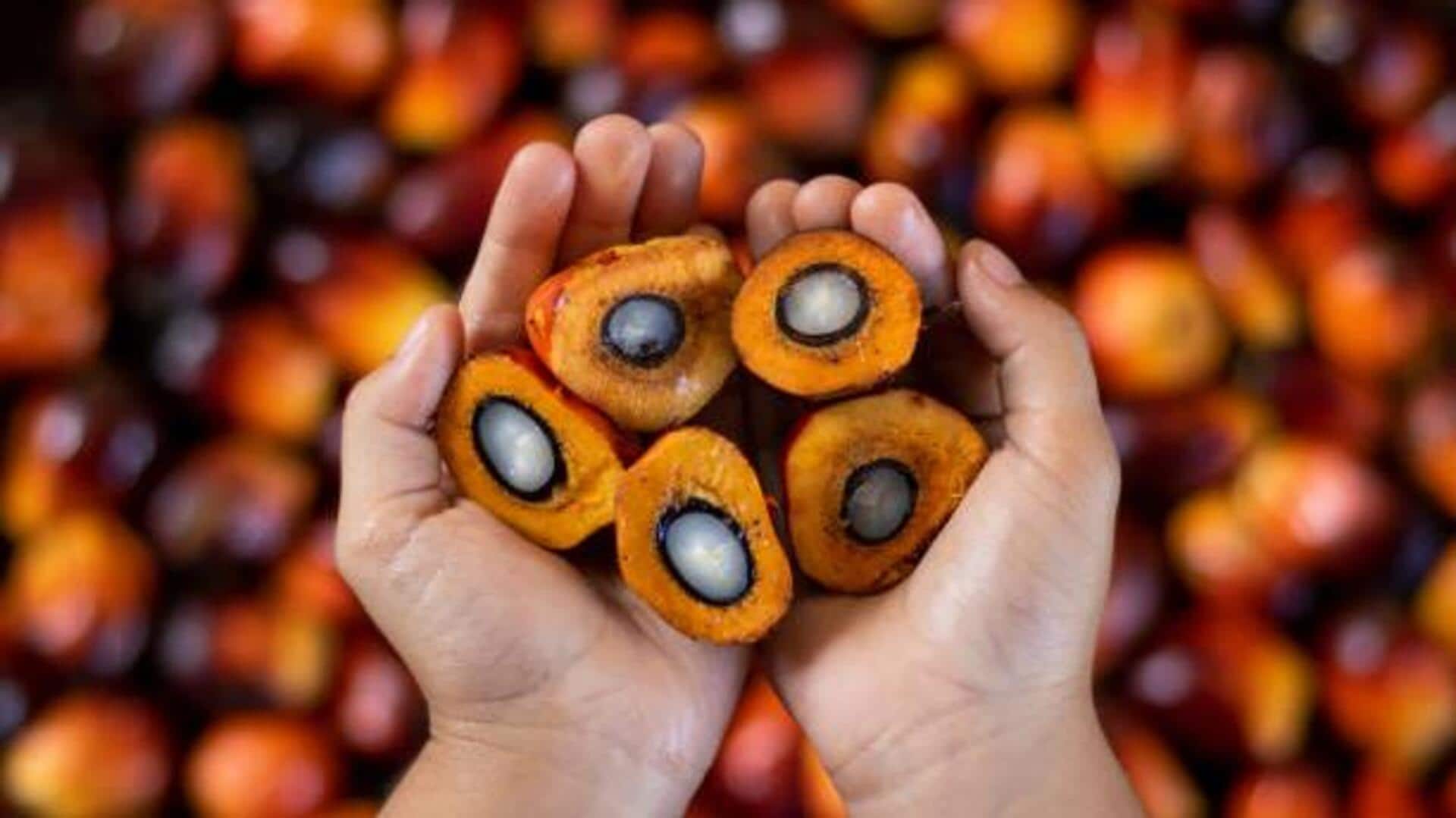 Palm kernel in skincare: Your natural glow secret 