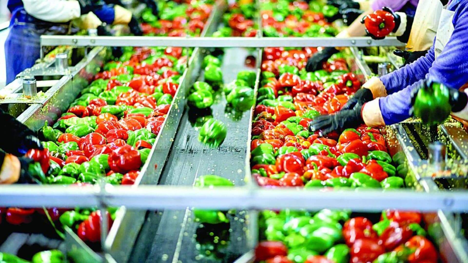 Budget 2026: Modi government might allocate ₹28,000cr for food-processing schemes