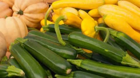 Pumpkin v/s zucchini: Which has more fiber?