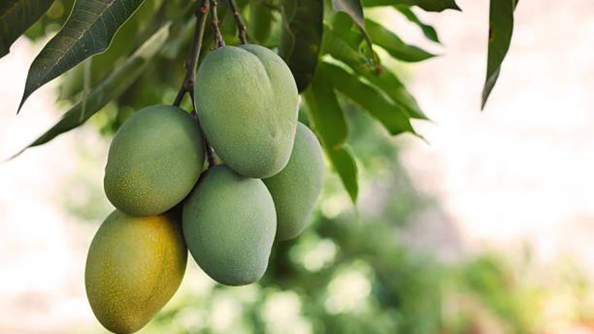 How to use wild mango in cooking