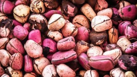 Why beauty enthusiasts are trying kola nut scrubs 