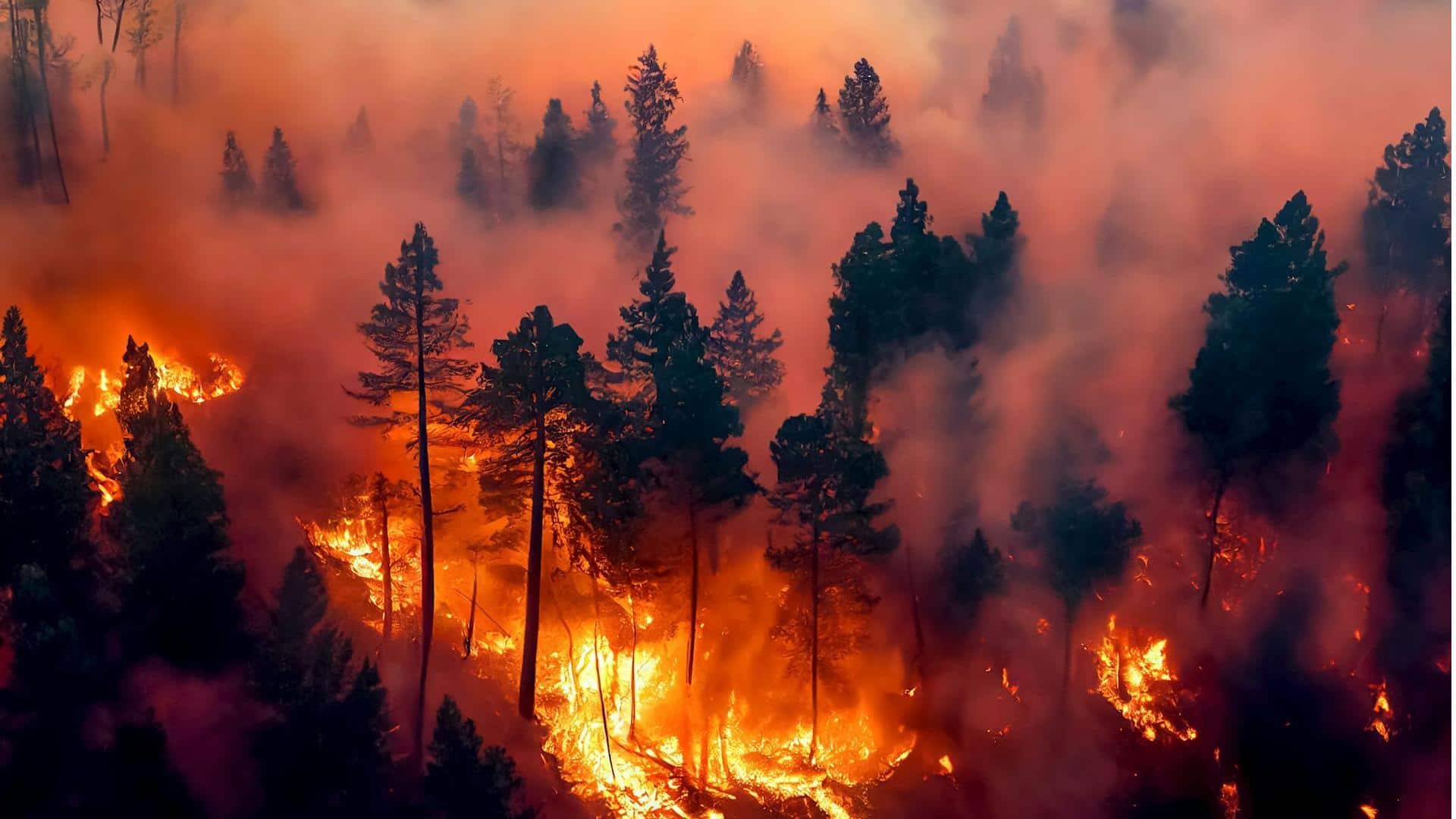 Extreme wildfires have increased twofold in just 2 decades: Study