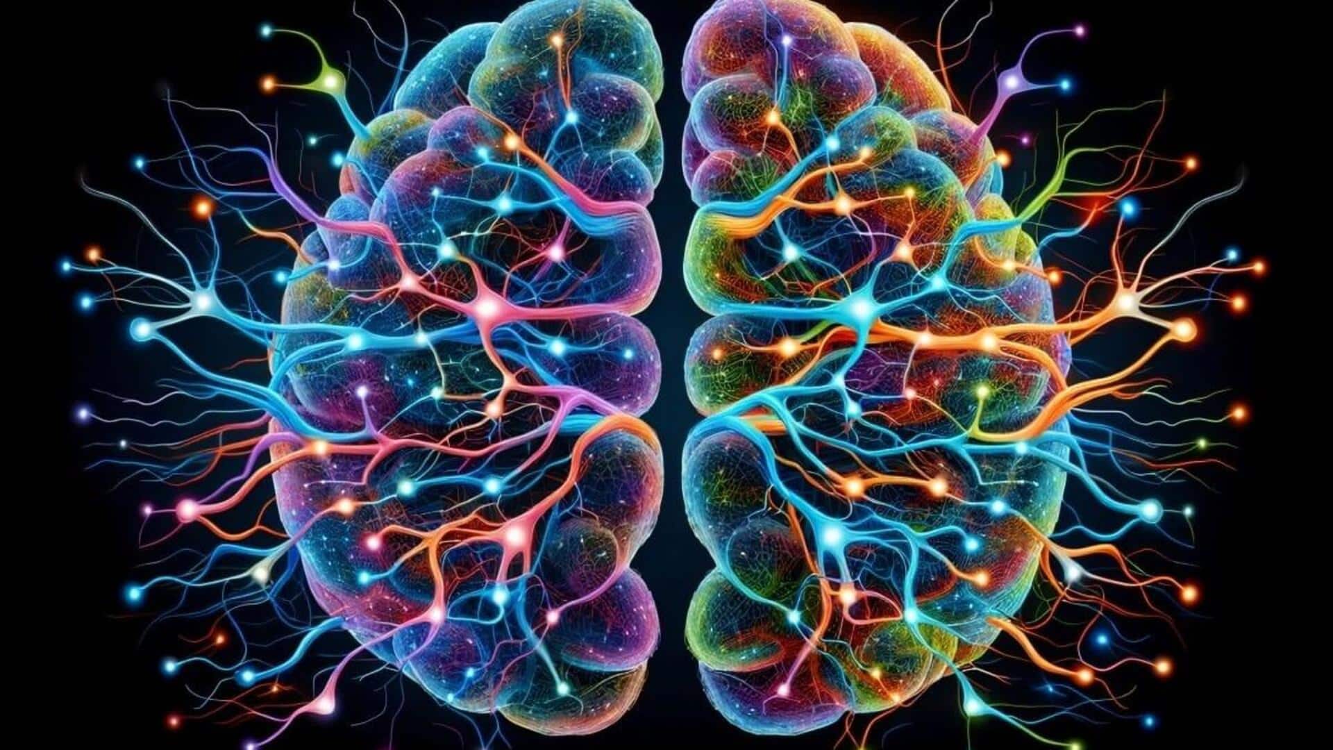 Genetics influence cognitive function in humans, says study Genetics influence cognitive function in humans, says study