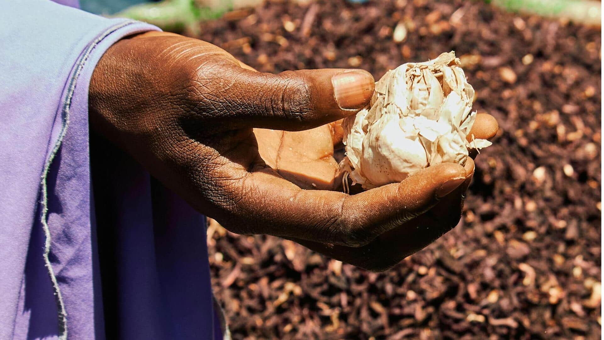 Spice up your veg meals with these African flavors