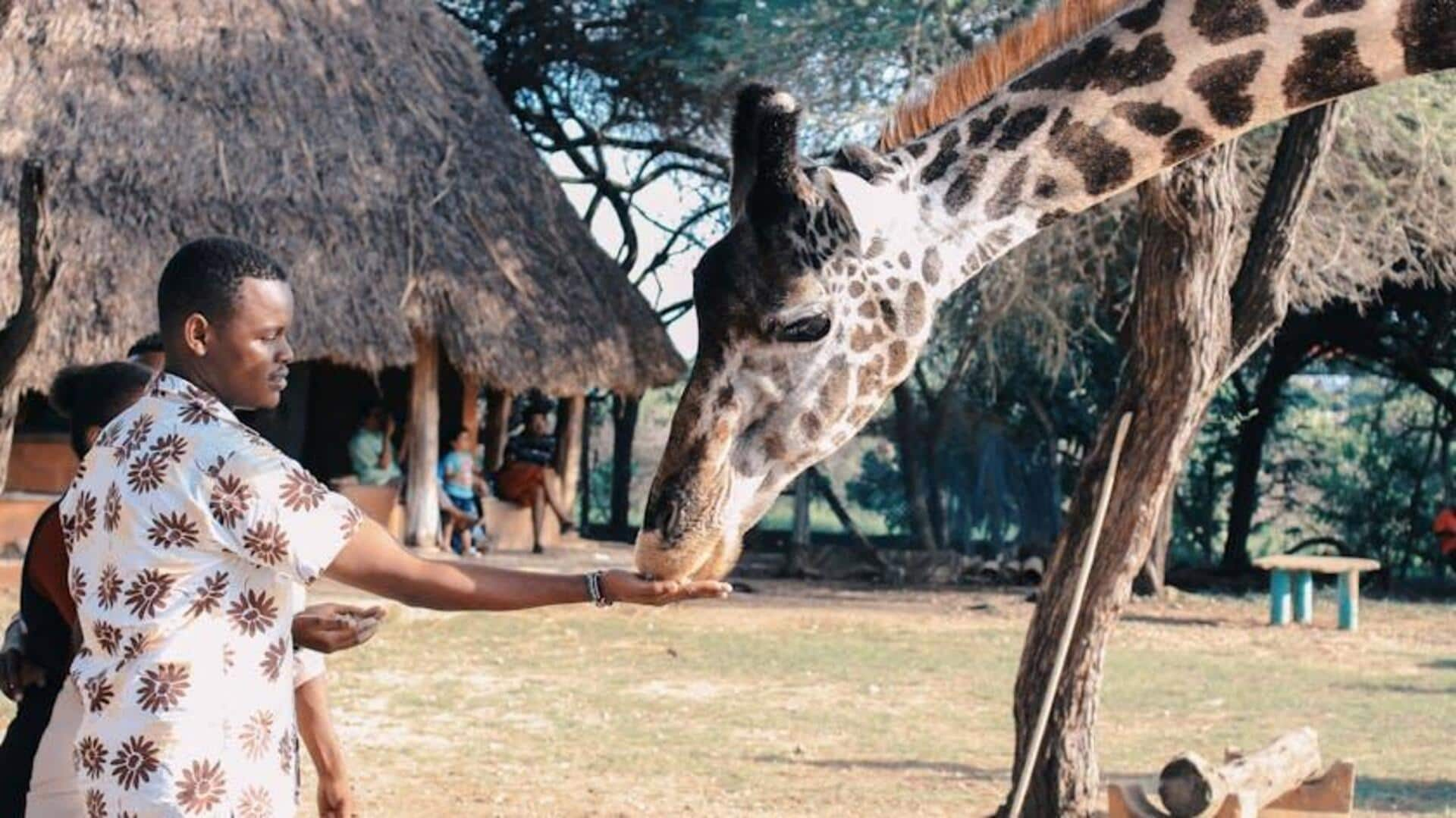 Ditch vehicle! Plan a walking safari in Zambia's national park 