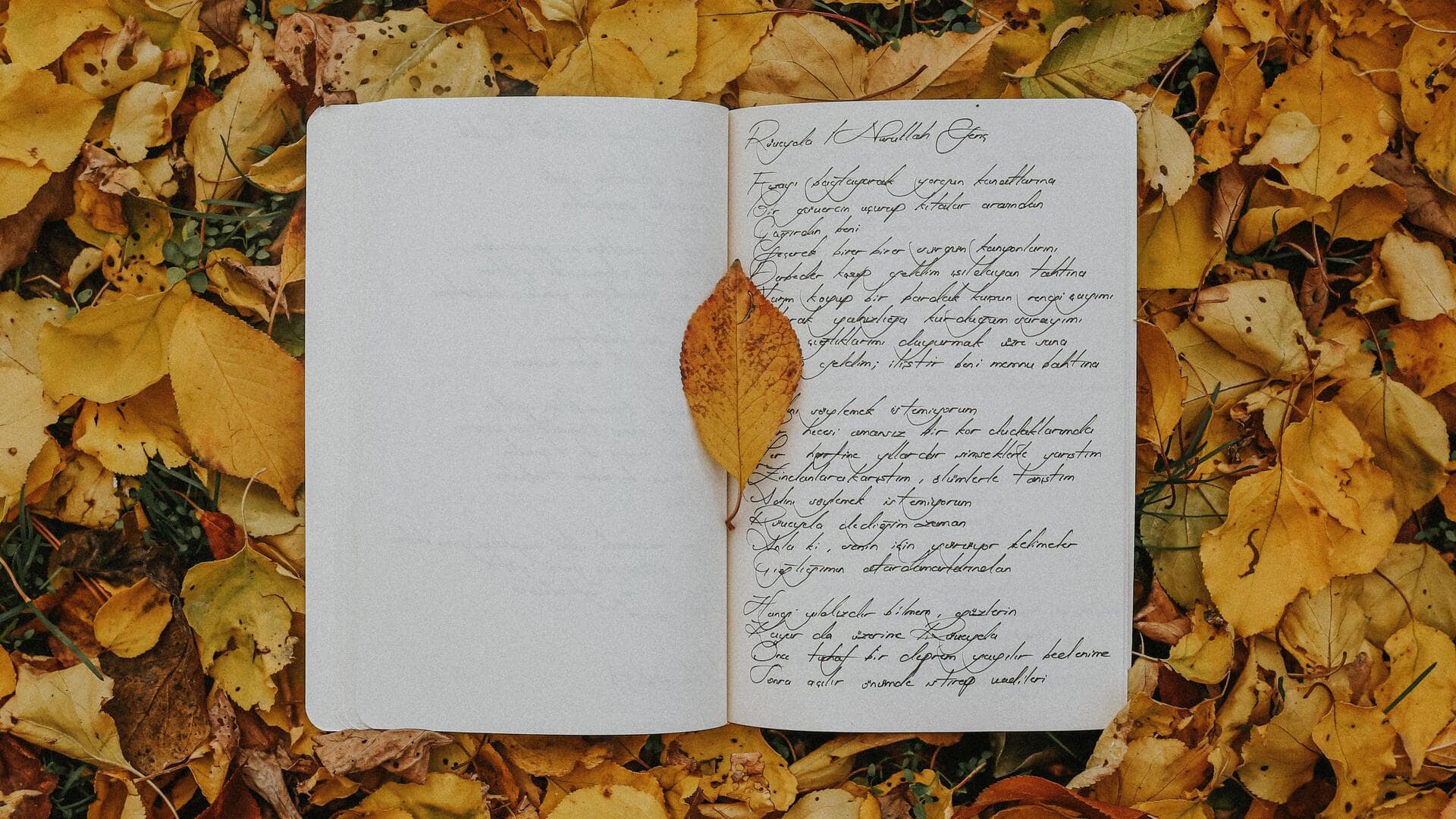 5 simple tips to write better haiku poems