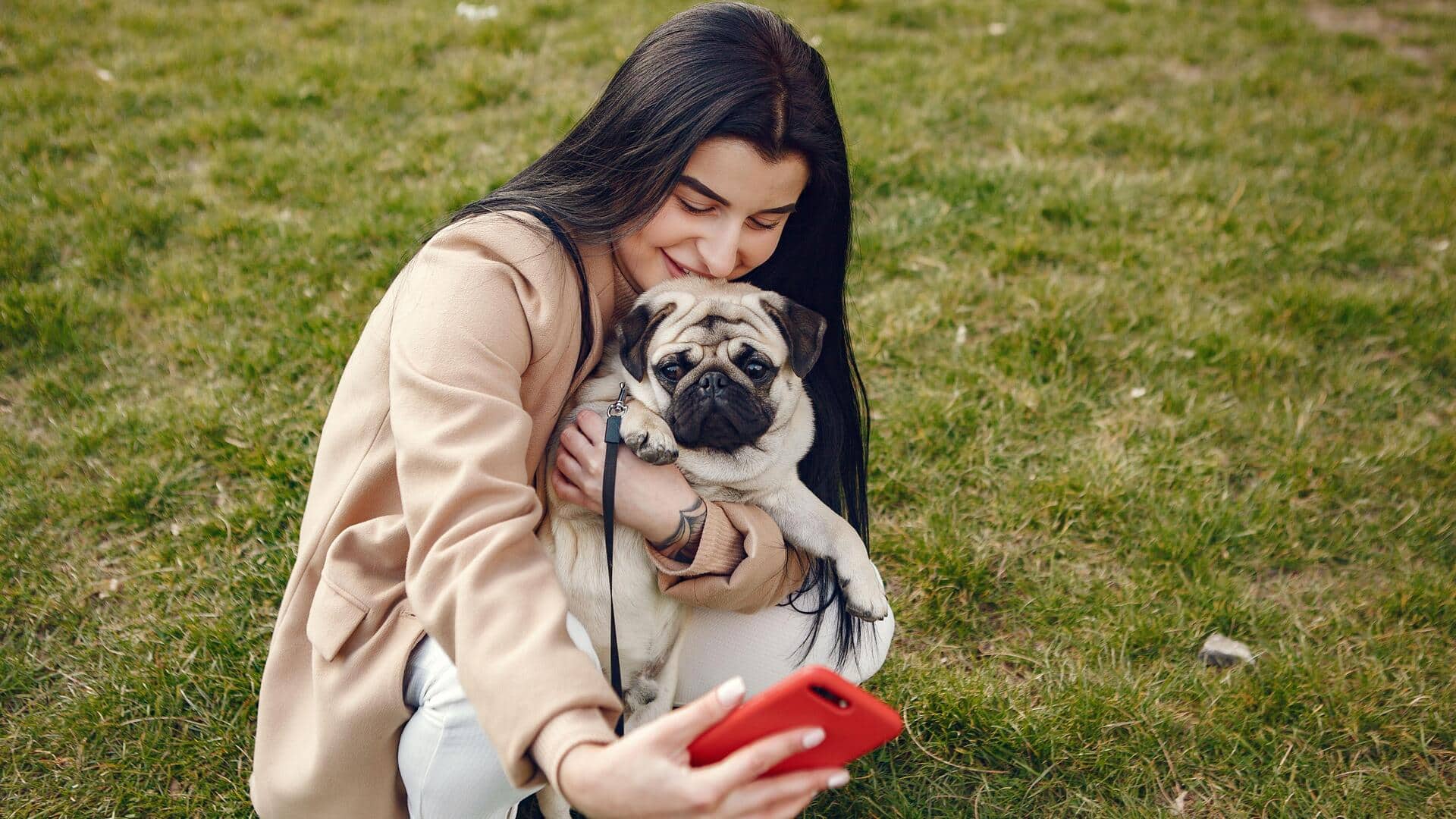 Take better pet photos with these 5 easy tips