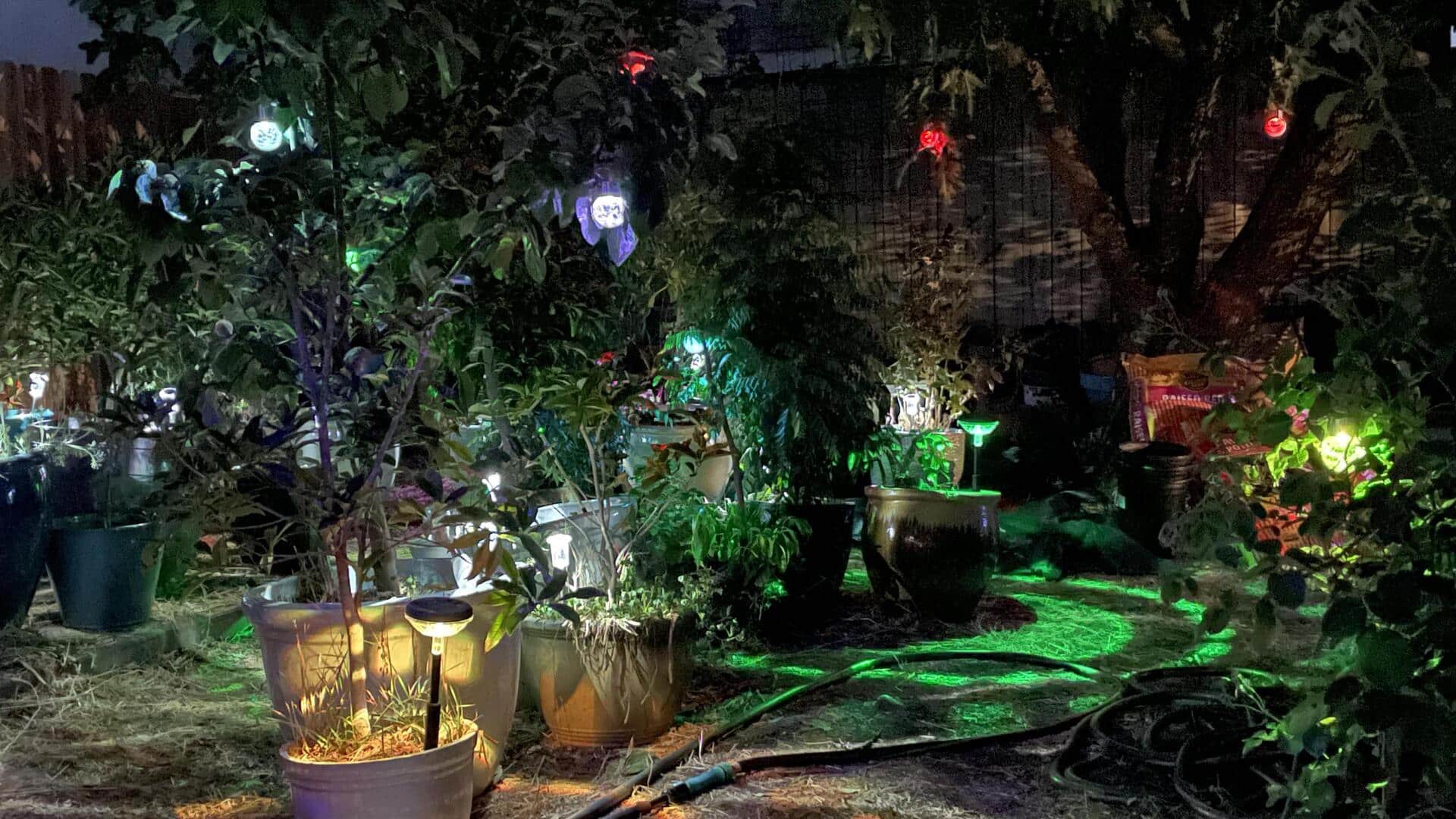 How night gardening sharpens your mind How night gardening sharpens your mind