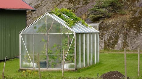 5 DIY greenhouse design ideas for beginners