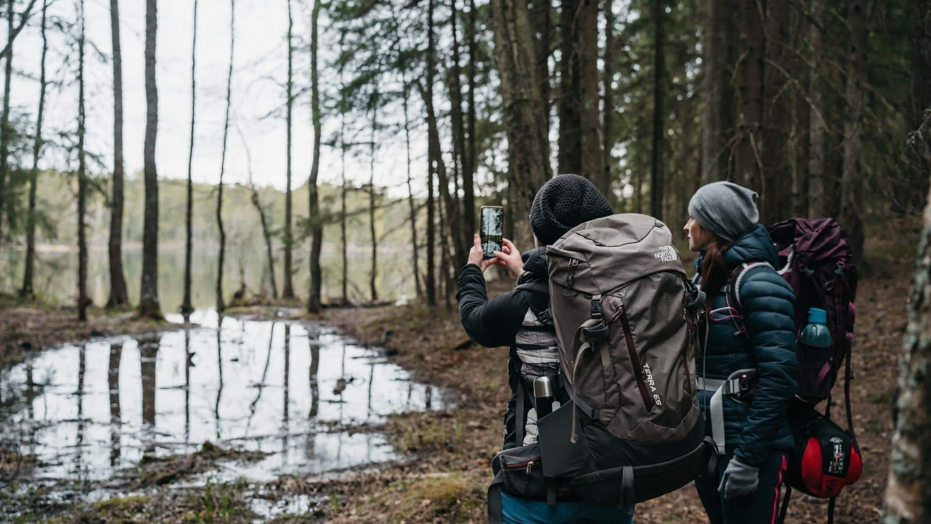 Planning forest adventures in Estonia? These snacks are unmissable
