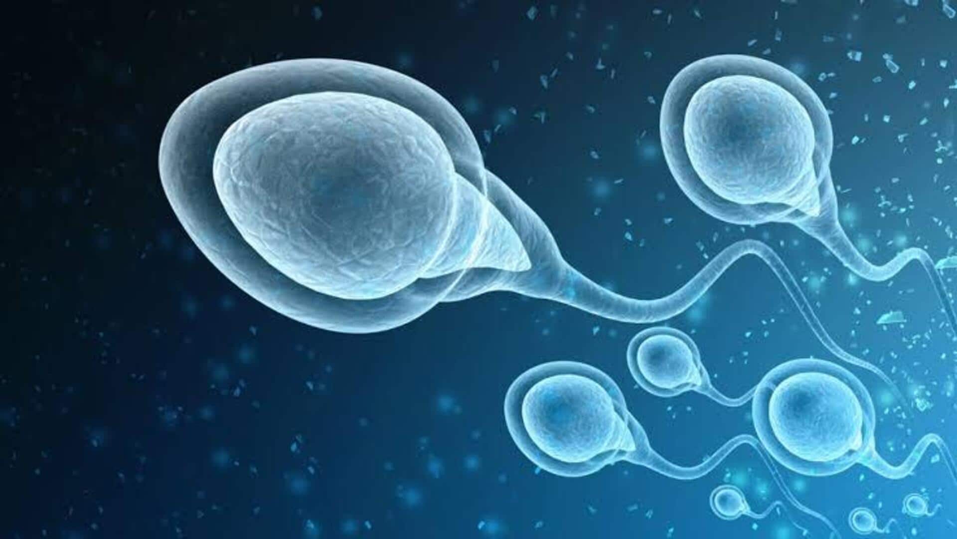 Air pollution might be changing your sperm's DNA: Study