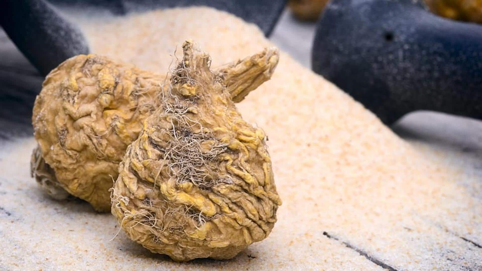 Surprising health benefits of maca roots Surprising health benefits of maca roots