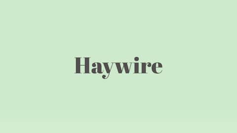 Word of the Day: Haywire