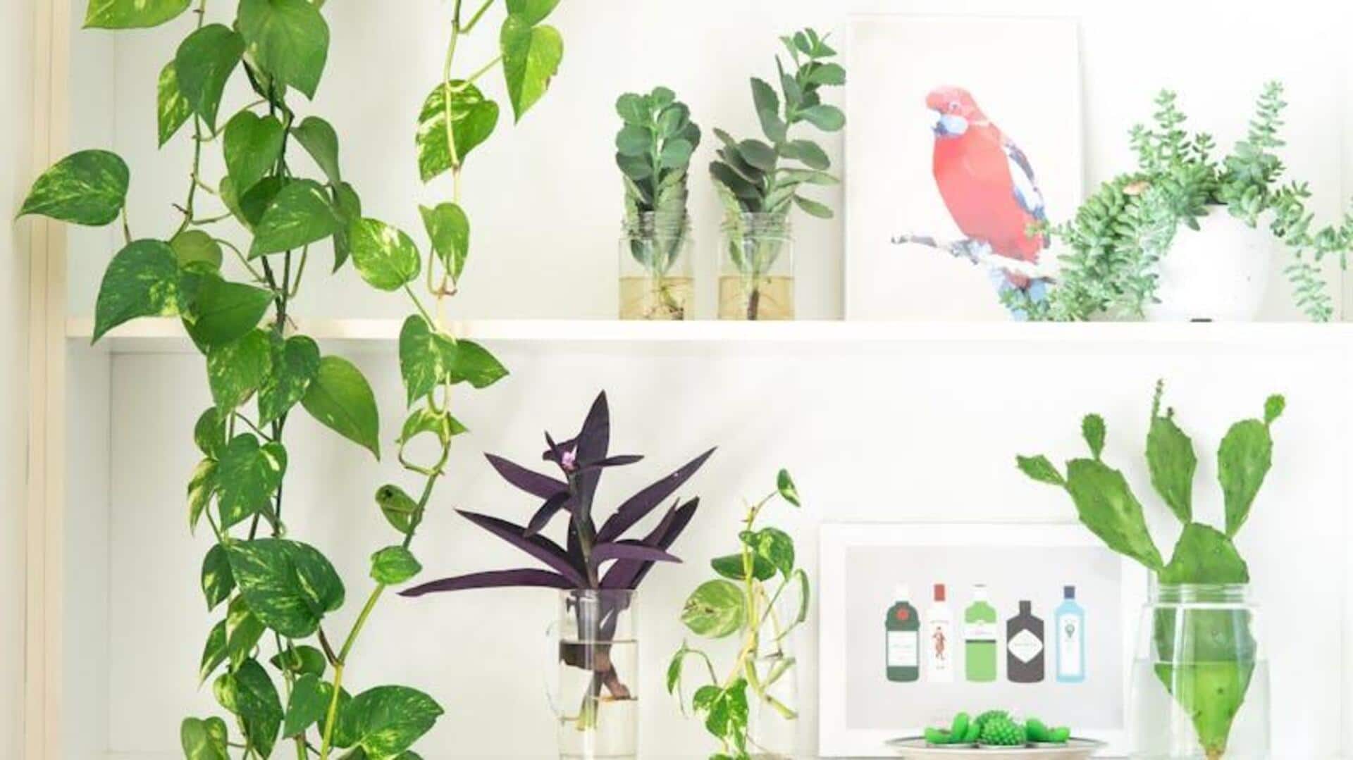 You can brighten any room using this hack You can brighten any room using this hack