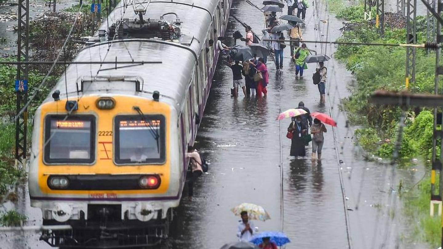 Suburbs have reported more rainfall Suburbs have reported more rainfall