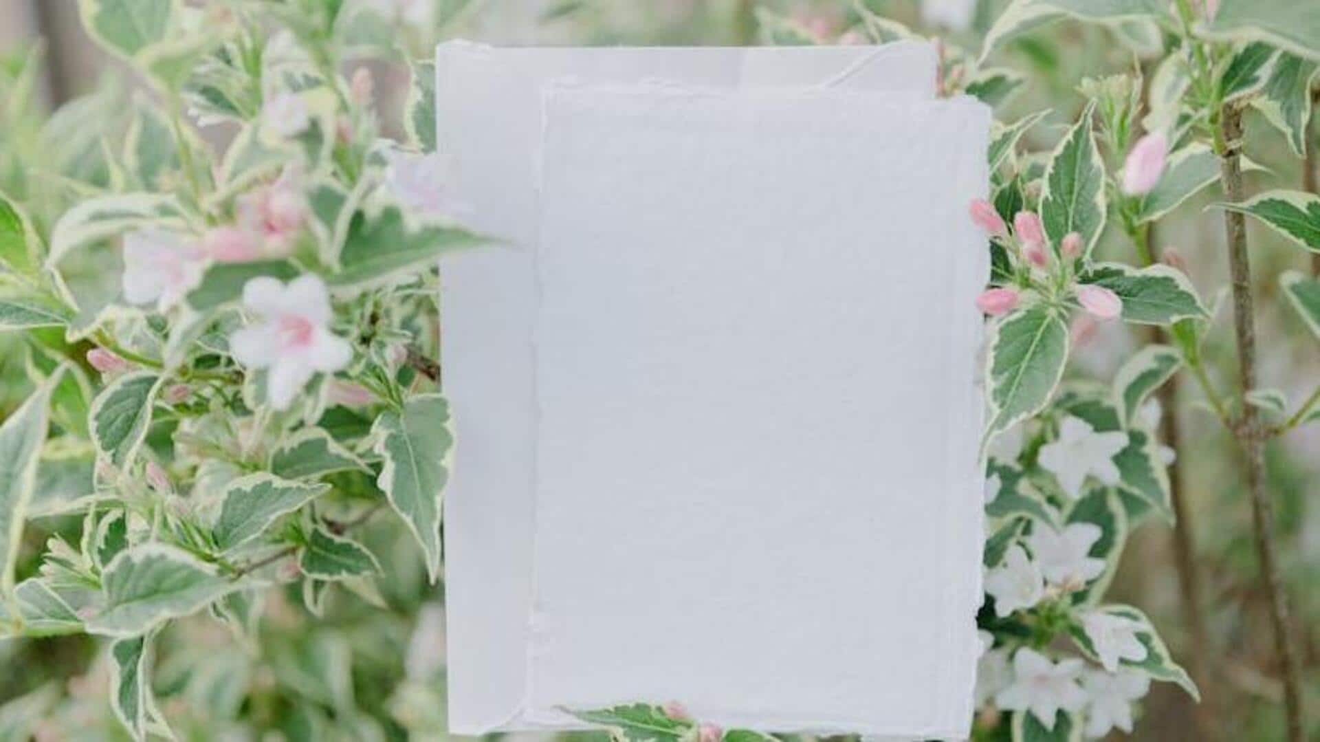 Mastering handmade paper like a pro: A guide