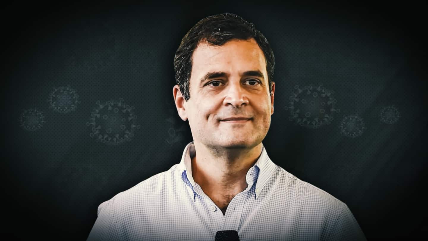 Congress leader Rahul Gandhi tests positive for COVID-19