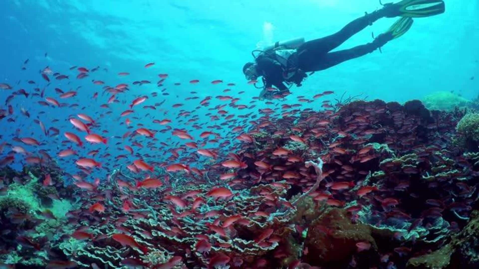 Underwater volcano snorkeling: Have you tried it yet? 