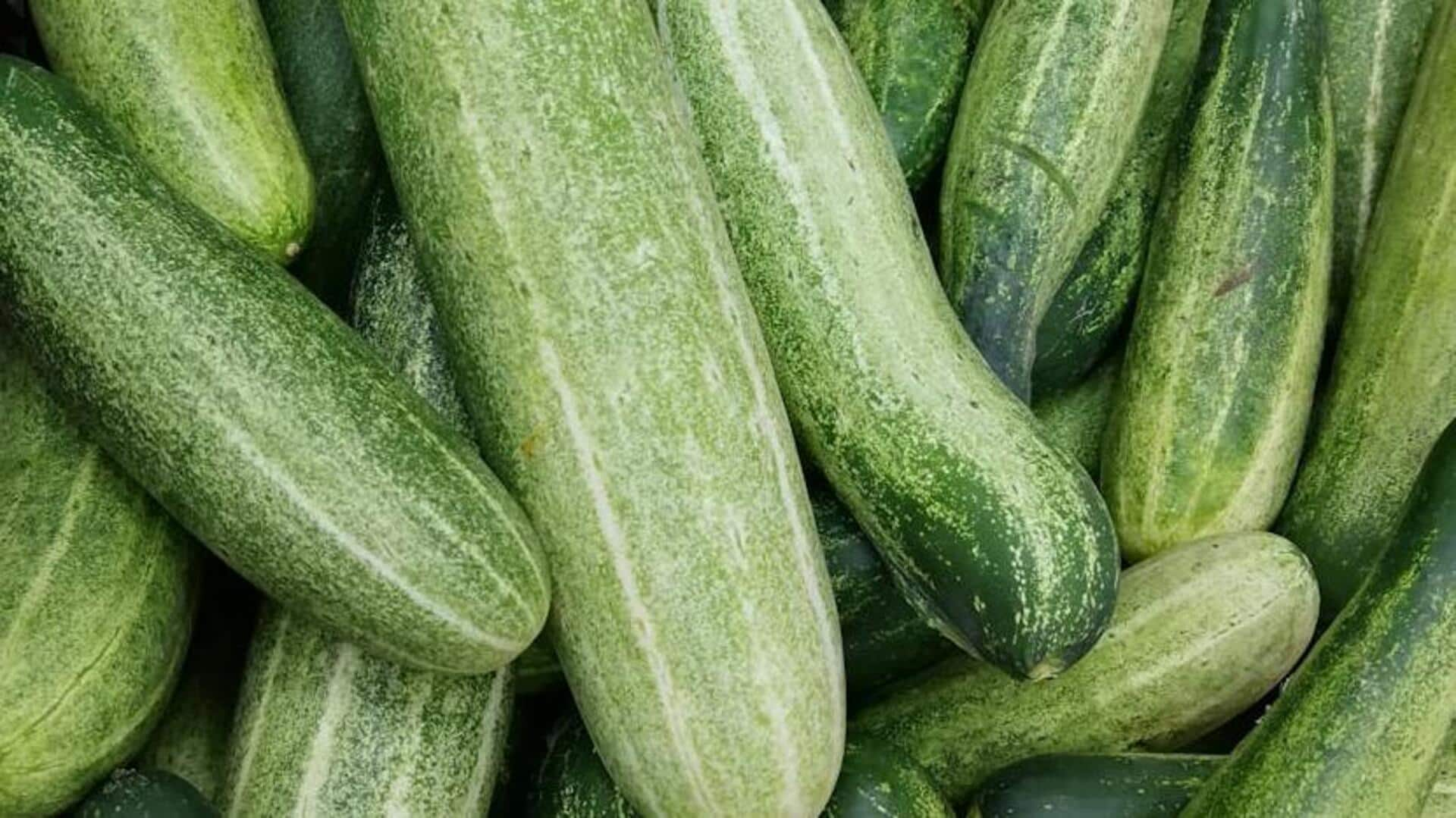 Cultivating crisp cucumbers: 5 garden fresh tips