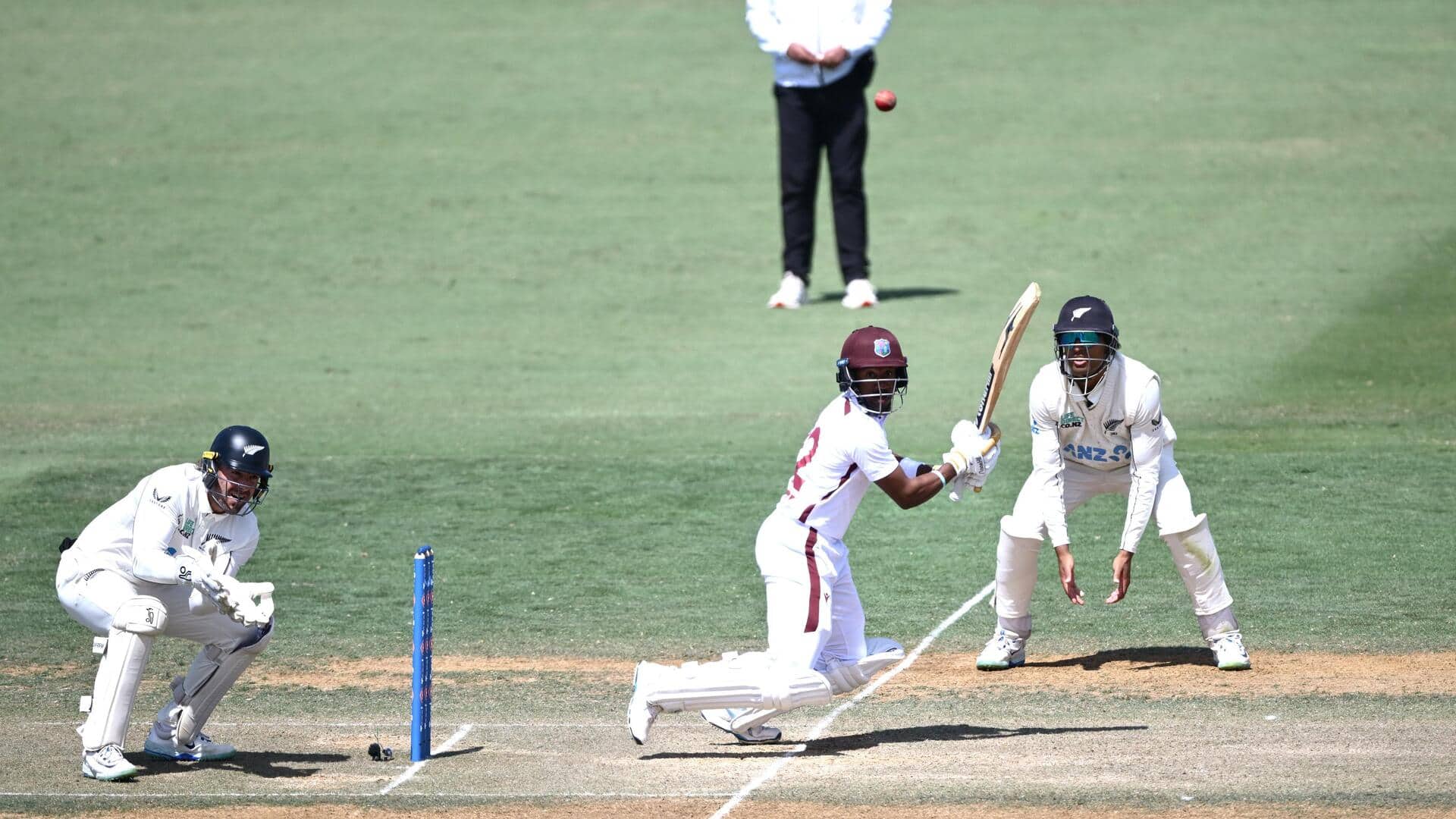 Kavem Hodge shines vs NZ, slams his second Test hundred