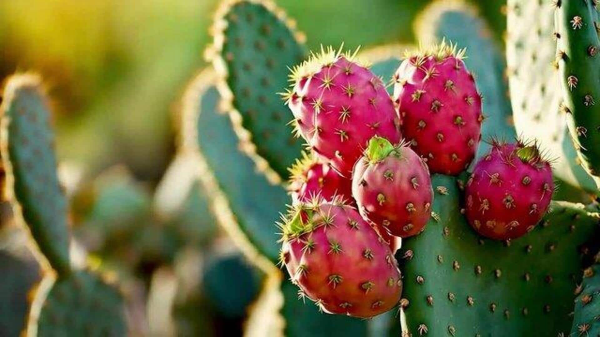 Prickly pear: A fruit that helps control blood sugar 