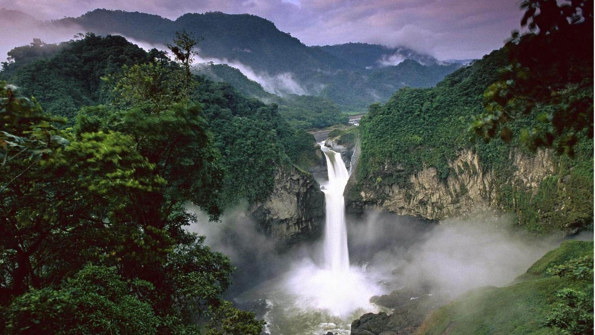 Why Amazon and other rainforests are under threat