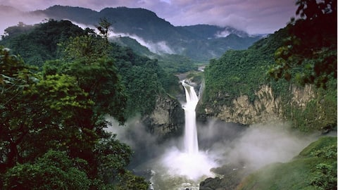 Why Amazon and other rainforests are under threat