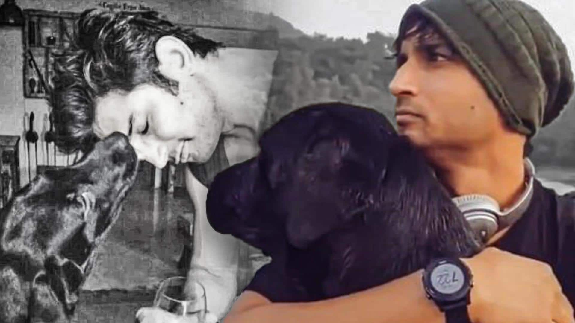 Sushant Singh Rajput's dog Fudge passes away; fans mourn loss