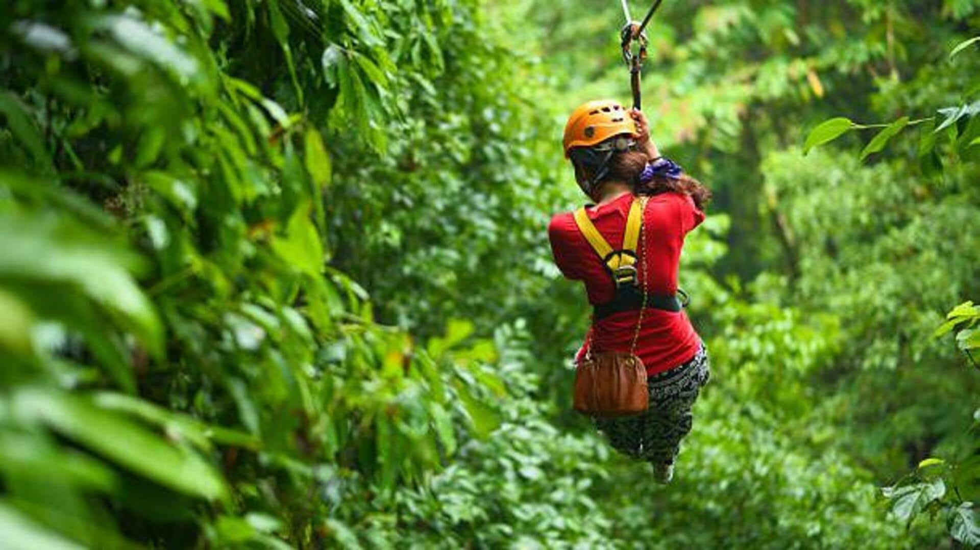 Nature lovers, you must try treetop canopy tours 