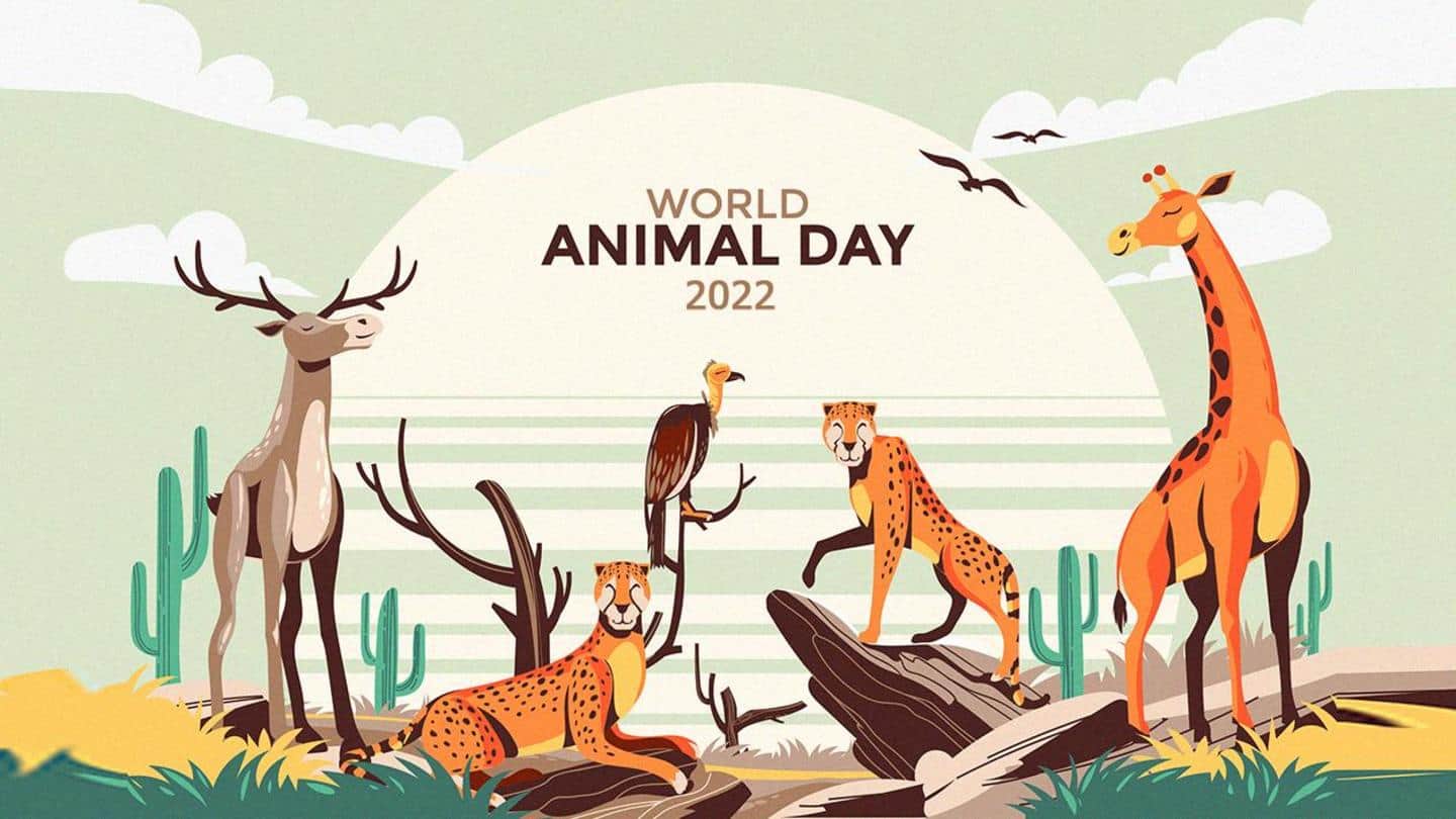 World Animal Day 2022: 5 ways to celebrate the occasion
