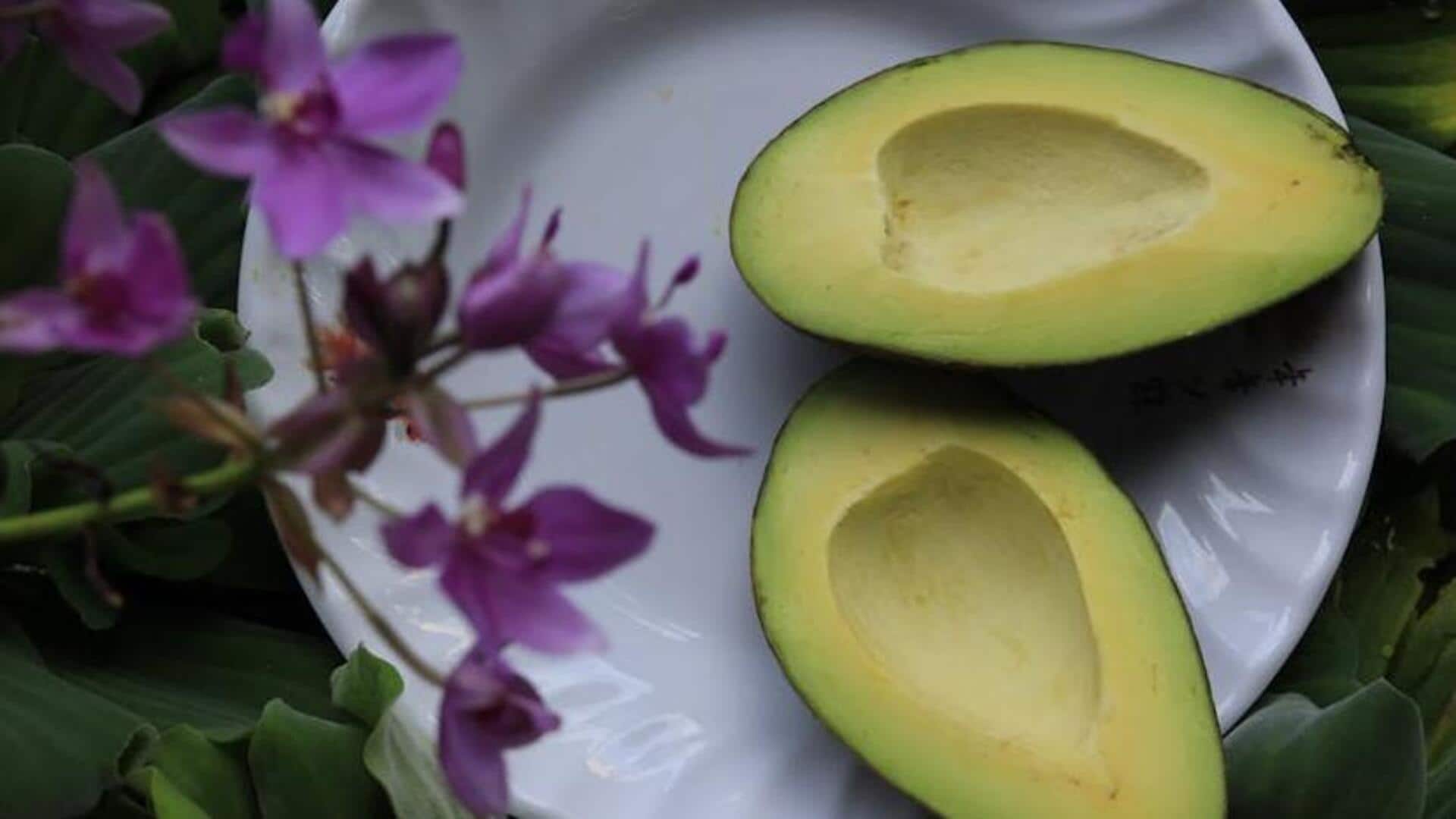 Calling all vegans! Savor these avocado delights 