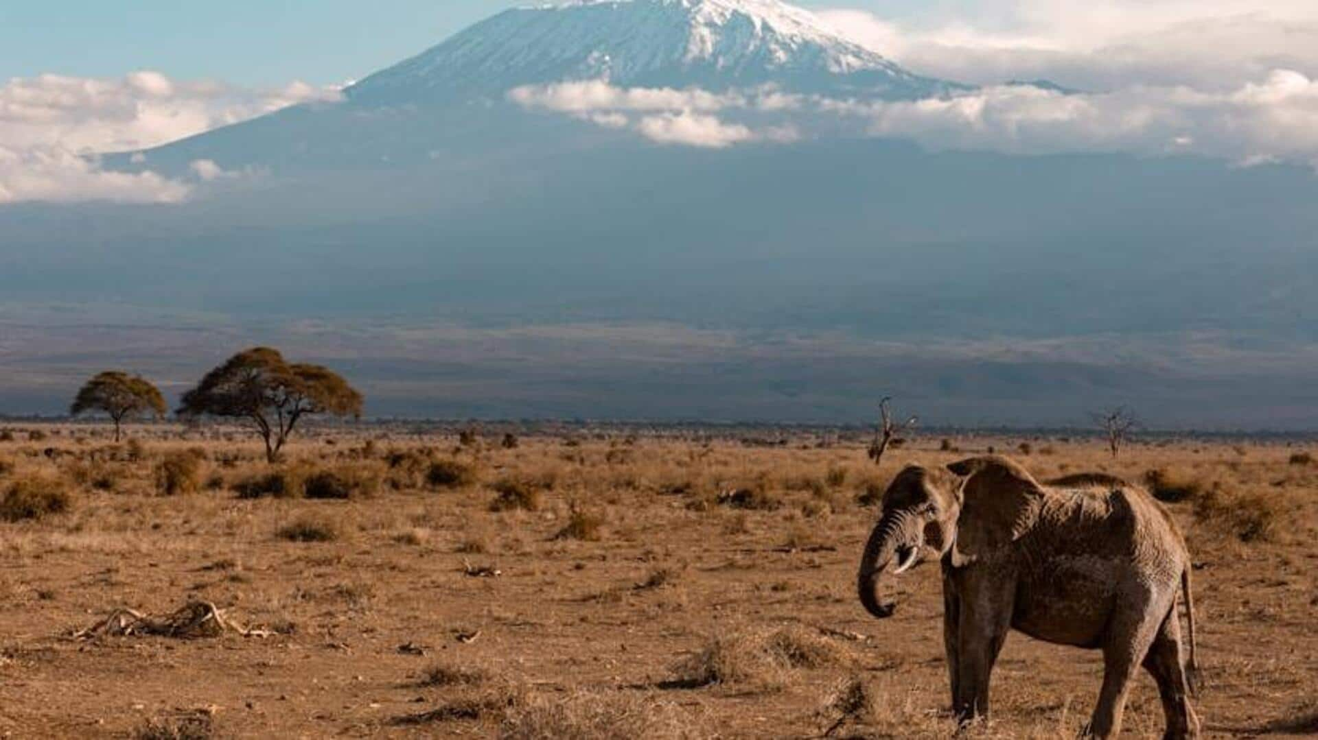 Experience the Serengeti: Migration and Maasai culture