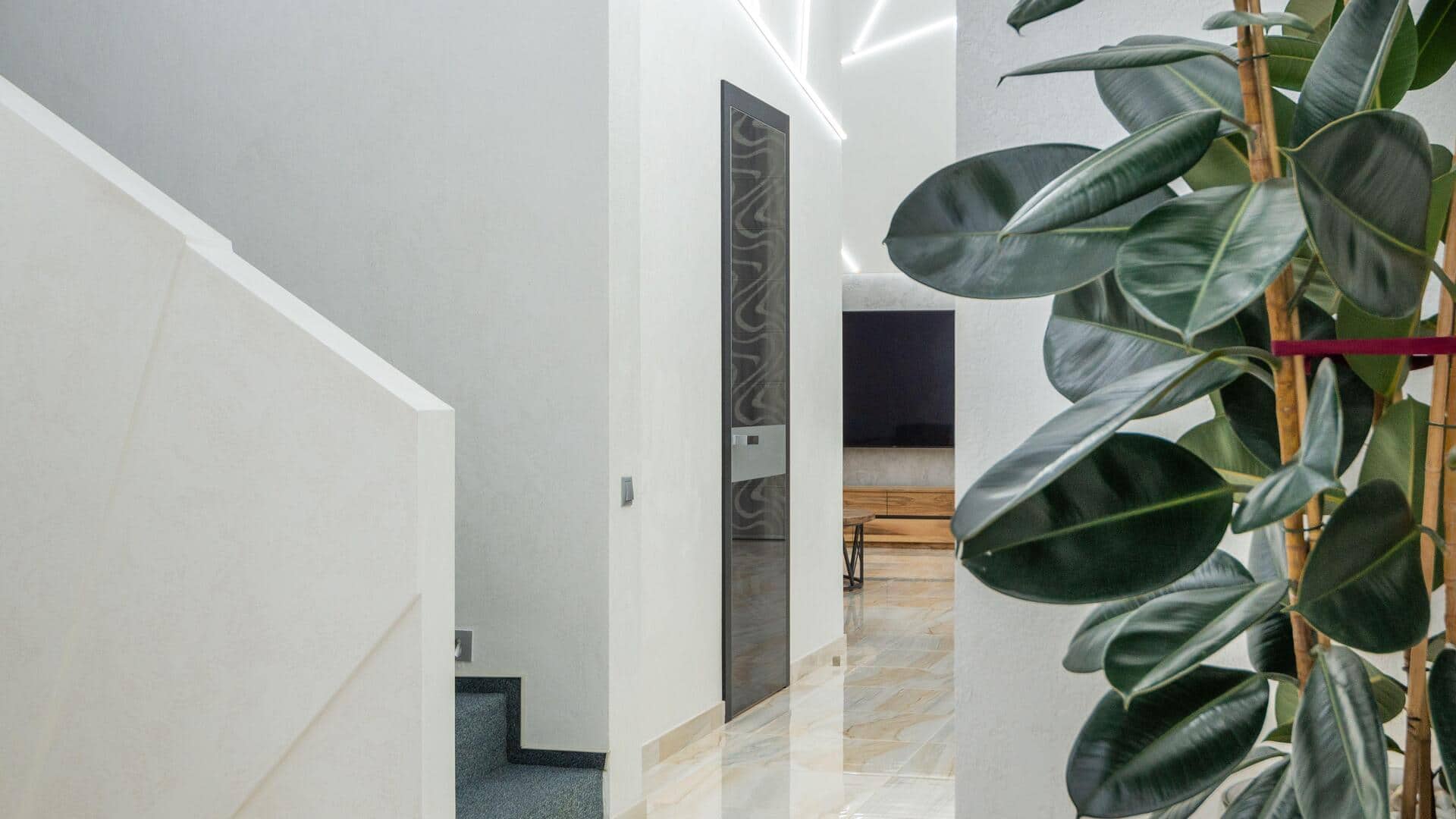 5 indoor plants that make your home feel fresher