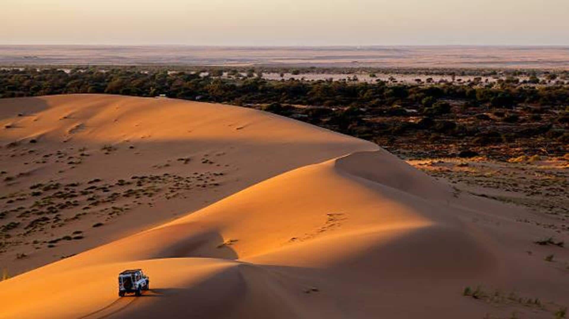 Desert safari 101: 5 must-try experiences Desert safari 101: 5 must-try experiences