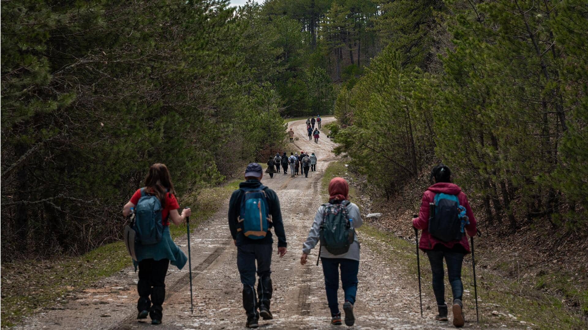 Hiking or swimming: Which is better for a full-body workout?