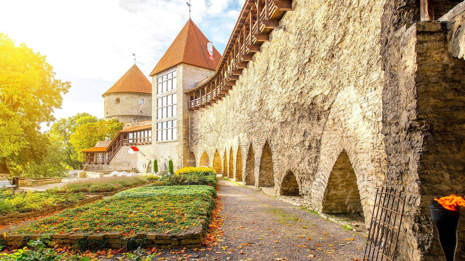 Discover tranquility in Tallinn's green spaces