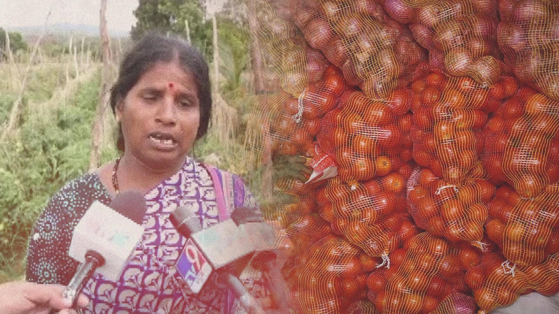 Karnataka: Tomatoes worth Rs. 2.5 lakh stolen from farmer