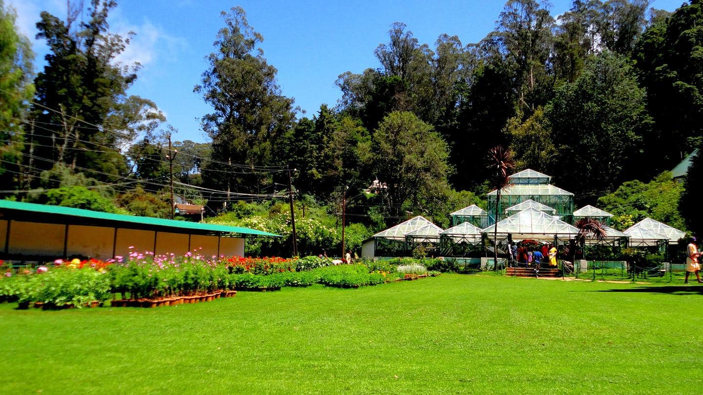 Stroll through the Ooty Botanical Gardens Stroll through the Ooty Botanical Gardens