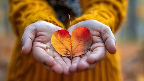 How to practice gratitude everyday