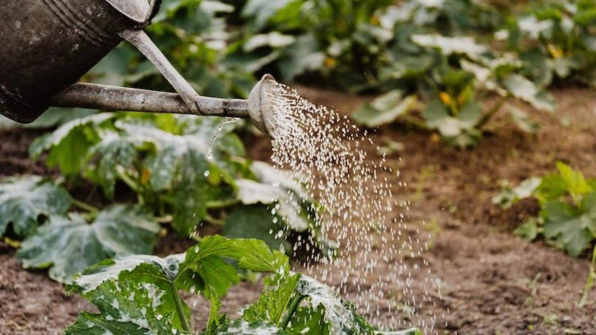 Turn your backyard into a profitable orchard with these plants 