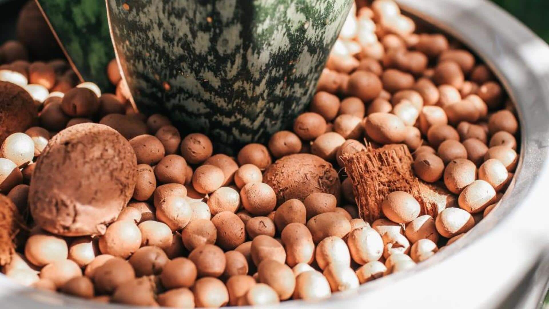 Clay pebble hydroponics: A smart way to water plants Clay pebble hydroponics: A smart way to water plants