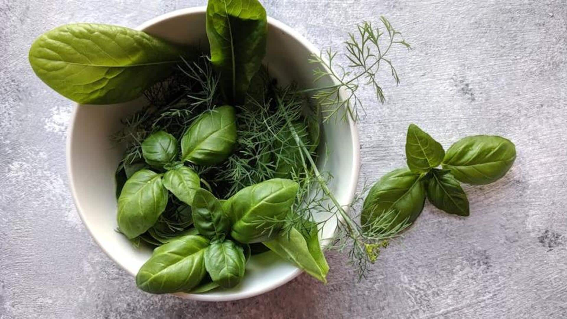 Ancient wisdom, modern healing: Explore the benefits of traditional herbs