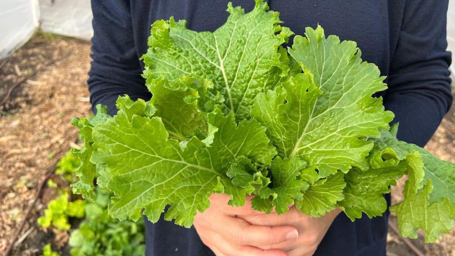 Dislike mustard greens? These recipes may make you rethink