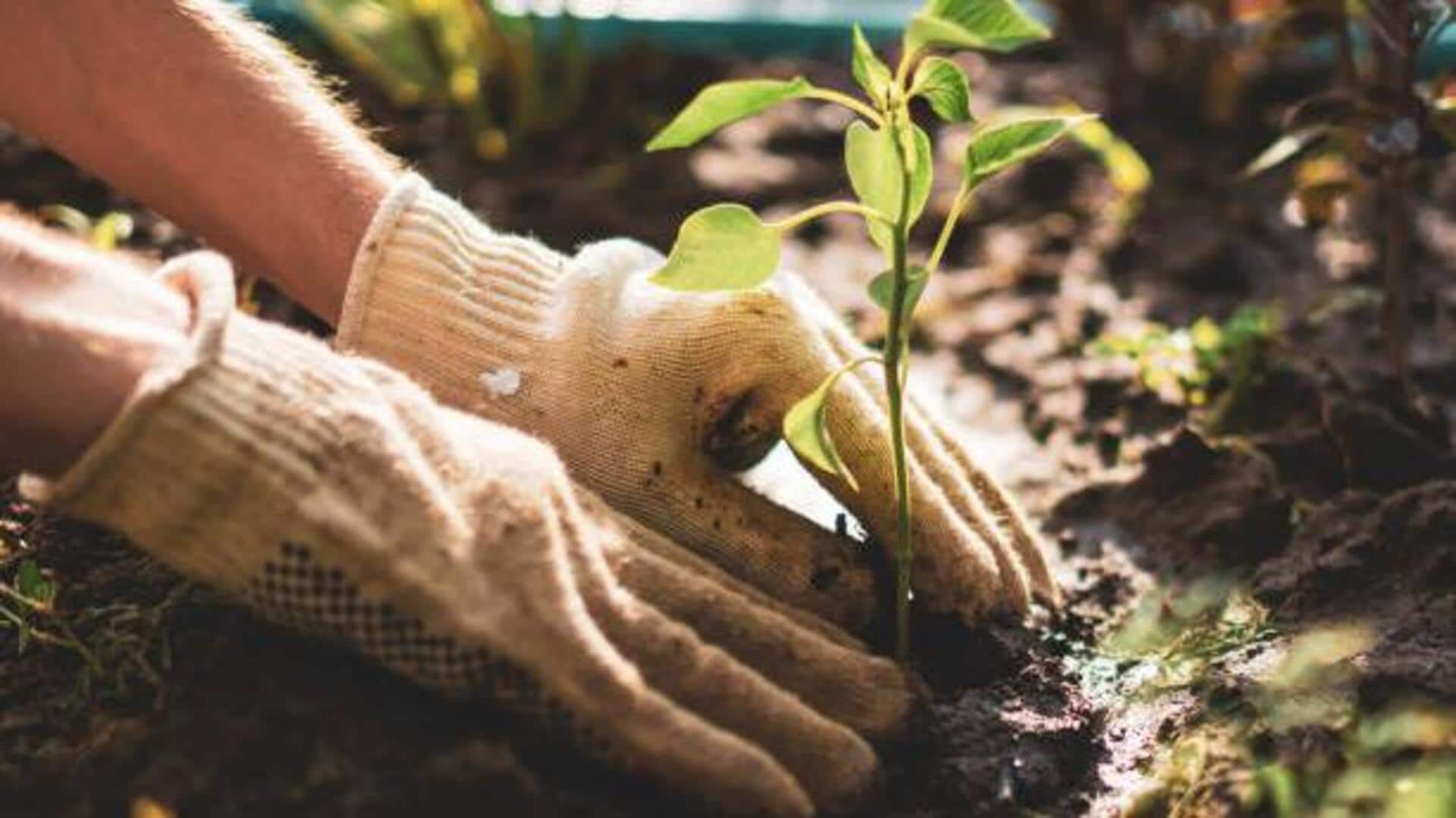 Why gardening is a natural stress buster Why gardening is a natural stress buster