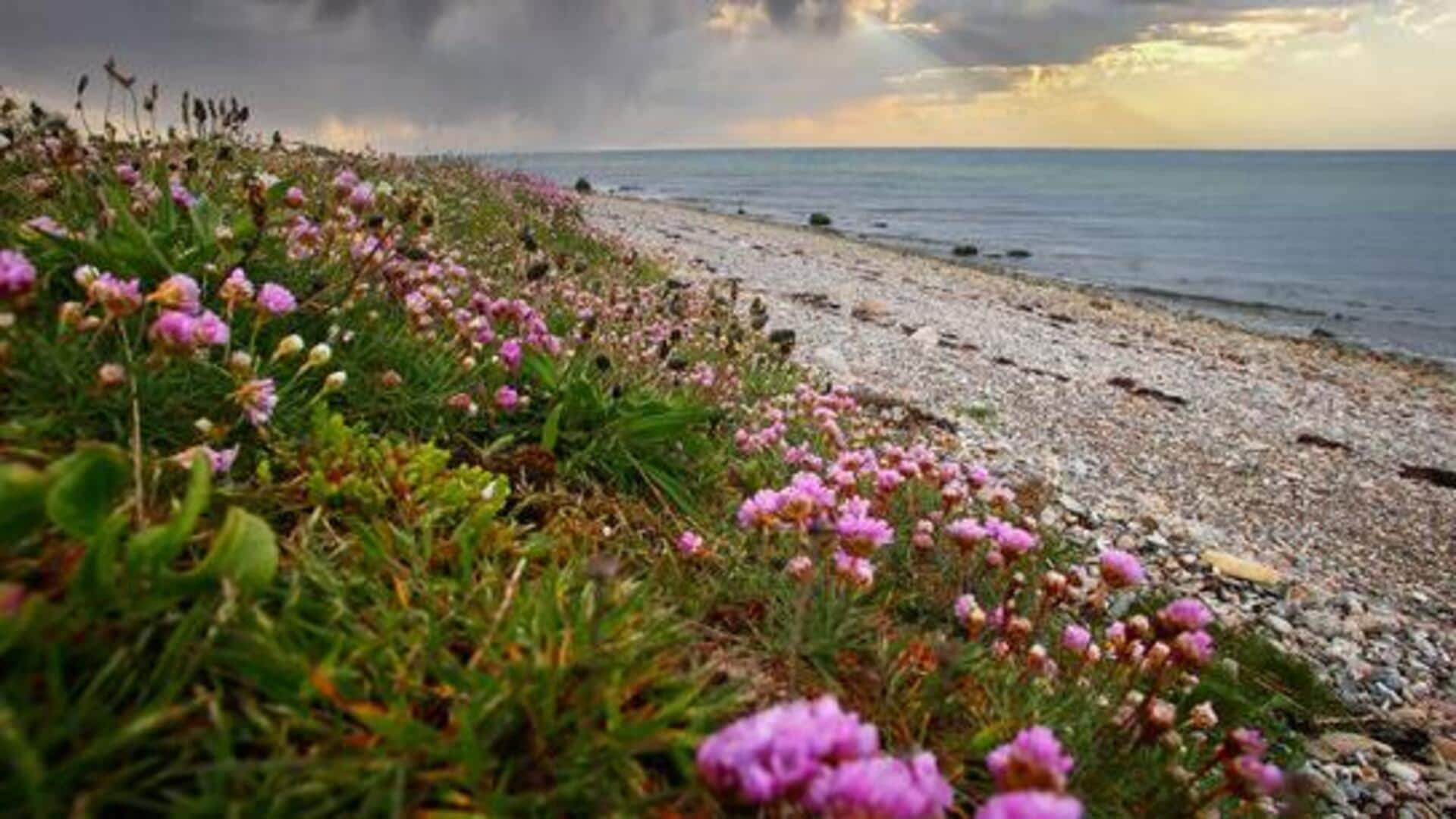 When in Denmark, visit these beautiful islands